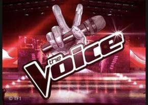 VOUS AVEZ DU TALENT, VOUS ÊTES CHANTEUSE OU CHANTEUR ?